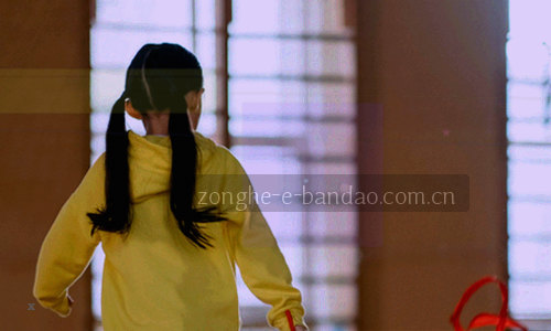 数据加密示意图：一把挂锁连接多组数据线条，象征传输与存储加密